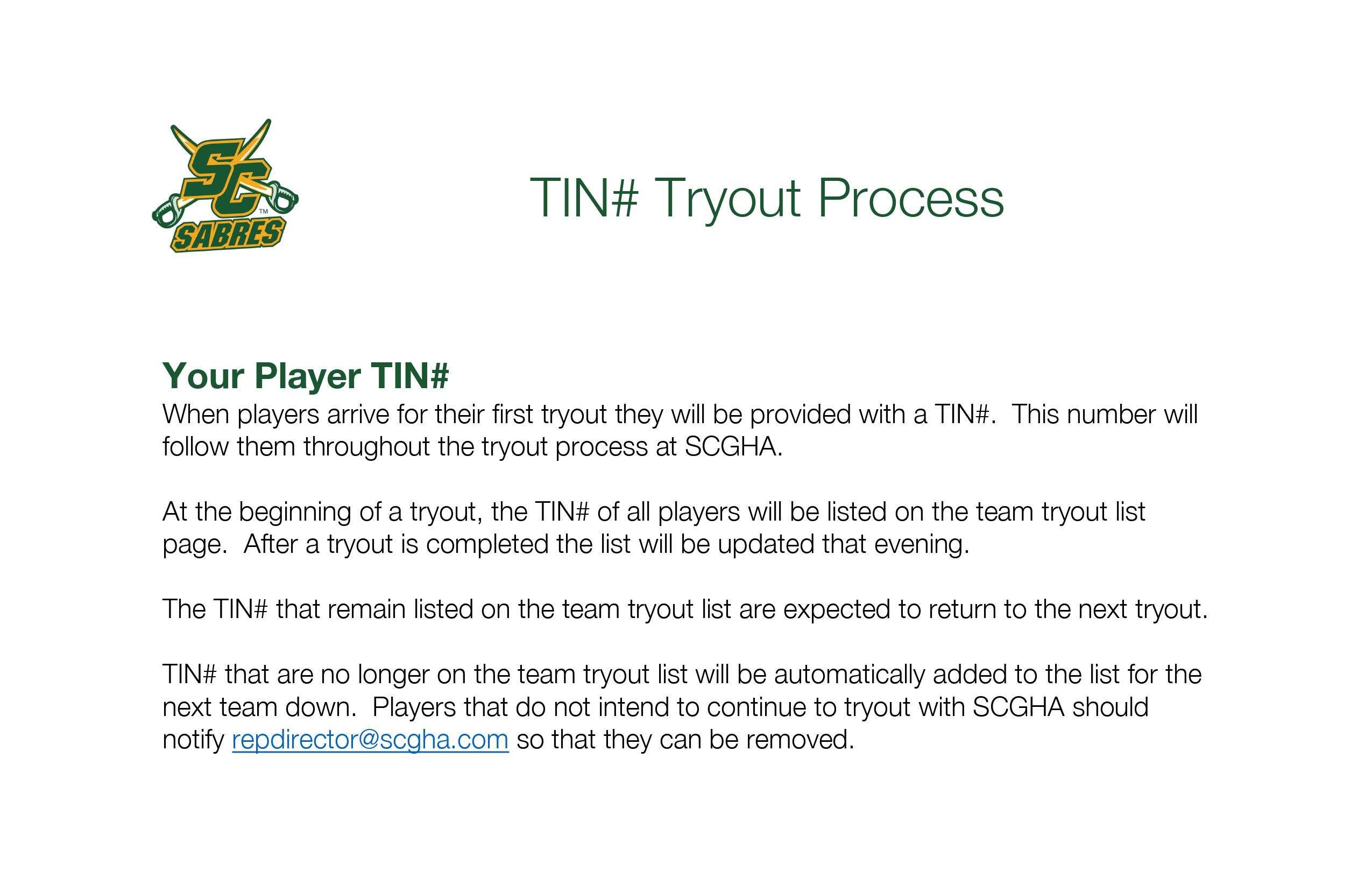 TIN_Tryout_Process_1.jpg