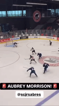 MorrisonSHGoal.gif